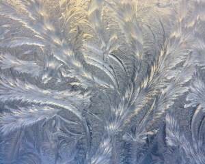 frosty-patterns-4-1257192-m